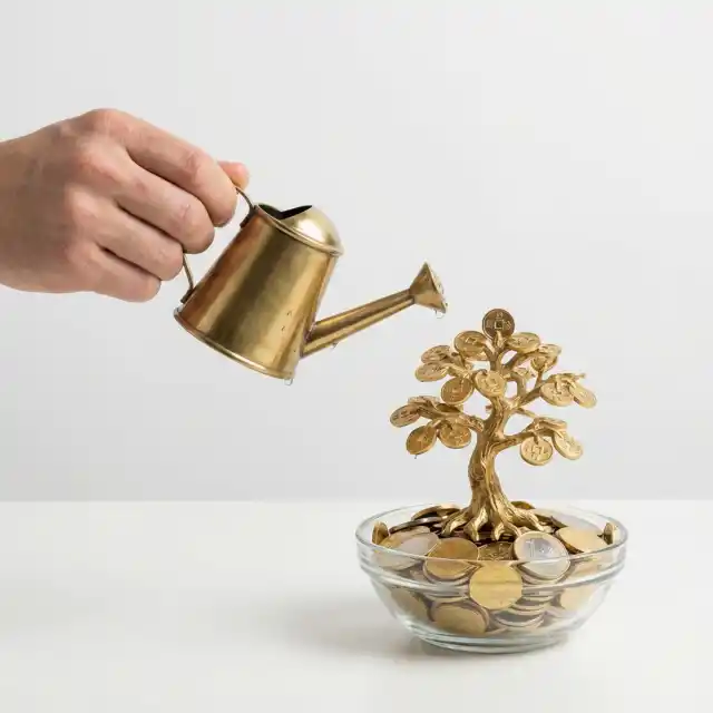 Authorized LIC Premium Collection Center and Renewal Point in Bhadra, Rajasthan